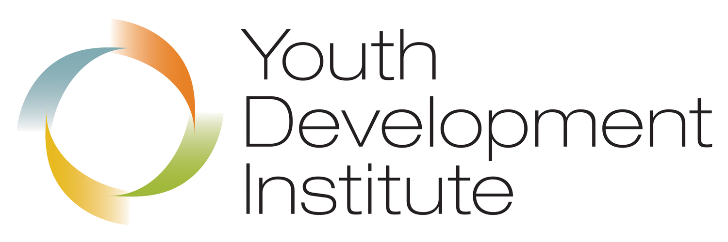 Youth Development Institute